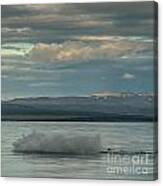 Humpback Whale #15 Canvas Print