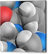 Molecular Model #16 Canvas Print