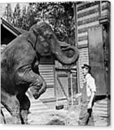Bill Snyder, Elephant Trainer #2 Canvas Print