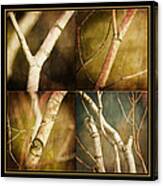 Branching Out Canvas Print