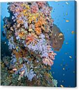 Colourful Reef Scene, Ari And Male #2 Canvas Print