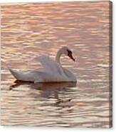 Swan In The Lake #2 Canvas Print