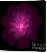 X-ray Of Peony Flower #2 Canvas Print