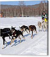 2010 Limited North American Sled Dog Race Canvas Print