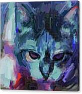 Cat #3 Canvas Print