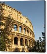 Coliseum. Rome #3 Canvas Print