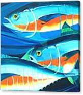 3 Fish School Canvas Print