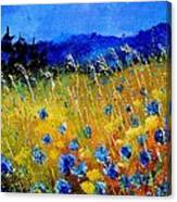 Blue Cornflowers Canvas Print