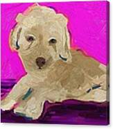 Dog #4 Canvas Print