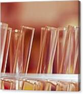 Test Tubes #6 Canvas Print