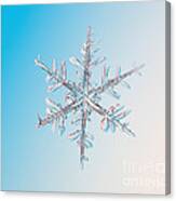 Snowflake #61 Canvas Print