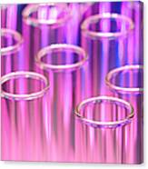 Laboratory Test Tubes In Science Research Lab Canvas Print