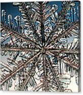 Snowflake #98 Canvas Print