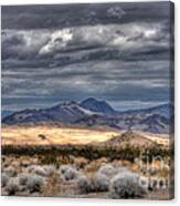 A Desert Storm Canvas Print