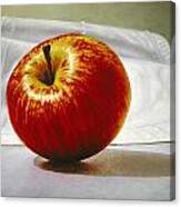 A Red Apple Canvas Print