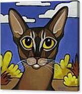 Abyssinian Canvas Print