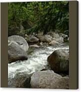 Adirondack Stream-iii Canvas Print