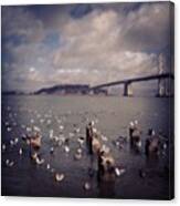 #aflockofseagulls #water #bay Canvas Print