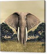 African Bull Elephant Canvas Print
