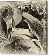 Antique Bouquet Canvas Print