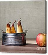 Apple And Pears 01 Canvas Print