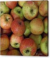 Apple Harvest Canvas Print