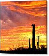 Arizona Sunset And Saguaro Canvas Print