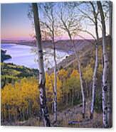 Aspen Forest Overlooking Fremont Lake Canvas Print