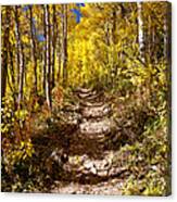 Aspen Trail Canvas Print