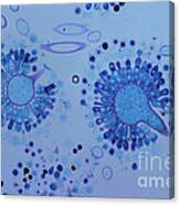 Aspergillus Spores Lm Canvas Print