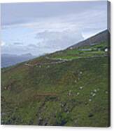 Atlantic Coast Ireland Canvas Print