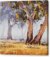 Australian Gums Canvas Print