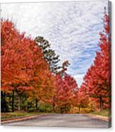 Autumn Colors Canvas Print