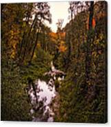 Autumn Creek Canvas Print
