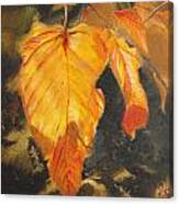 Autumn Glory Canvas Print