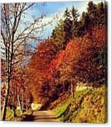 Autumn In South Tyrol Canvas Print