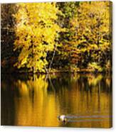 Autumn Pond Canvas Print