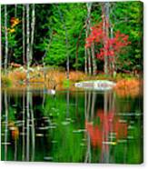 Autumn Reflections Canvas Print