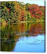 Autumn Reflections Canvas Print