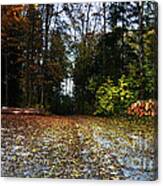Autumn Scene Canvas Print