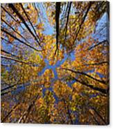 Autumn Sky Canvas Print