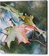 Autumn Sparkle Canvas Print
