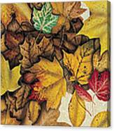 Autumn Splendor Canvas Print