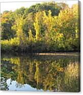 Autumn Sunlight On The Pond Canvas Print