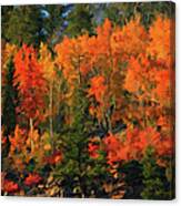 Autumn Water Colors Canvas Print