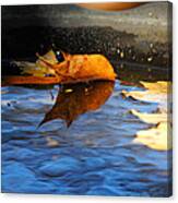 Autumn's Reflection Canvas Print