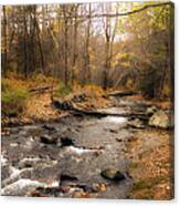 Babbling Brook In Autumn Canvas Print