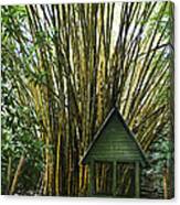 Bamboo Jungle Canvas Print