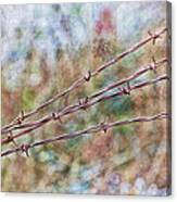 Barbed Wire Fence Canvas Print