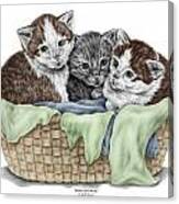 Basket Of Kittens - Cats Art Print Color Tinted Canvas Print